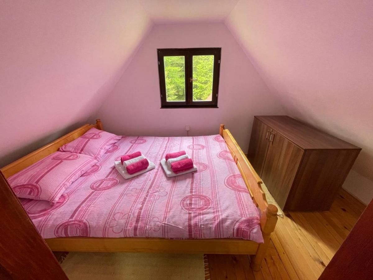 Vikendica Na Sokolini Villa Gornja Koprivna Exterior foto