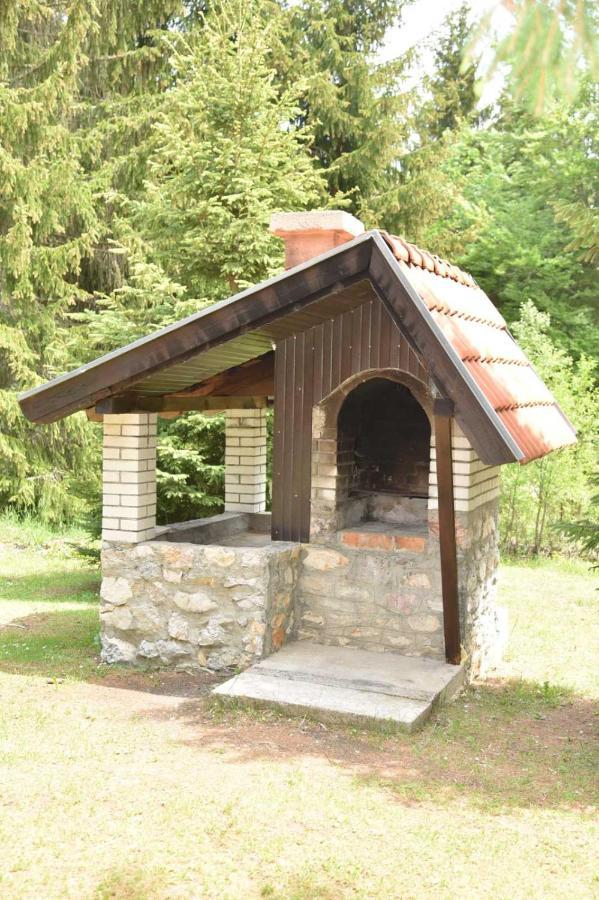 Vikendica Na Sokolini Villa Gornja Koprivna Exterior foto